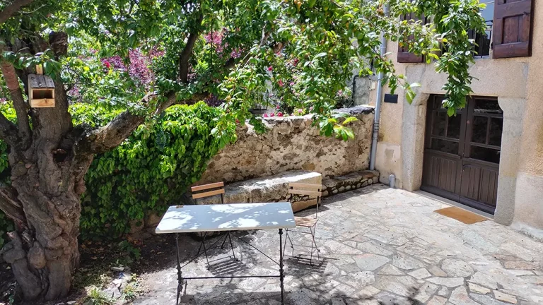 Taula jardí davanter
