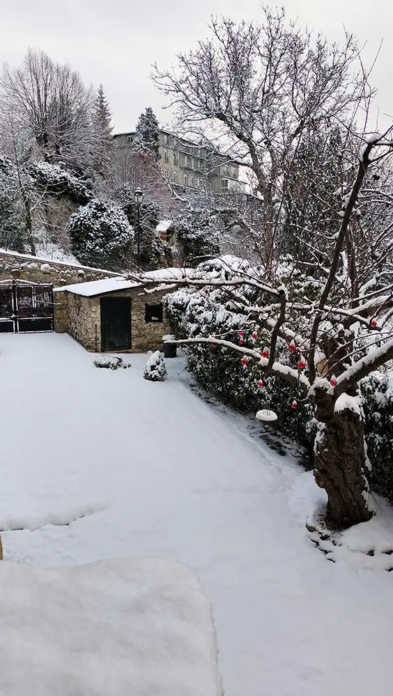 Jardín delantero La Rauxa