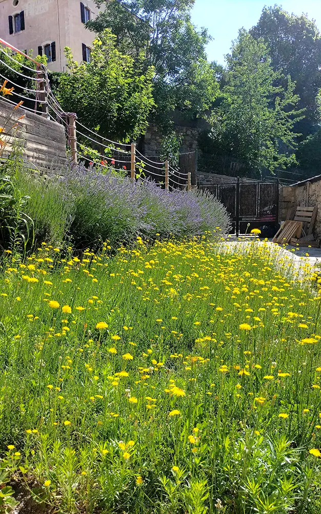 Primavera jardín La Rauxa